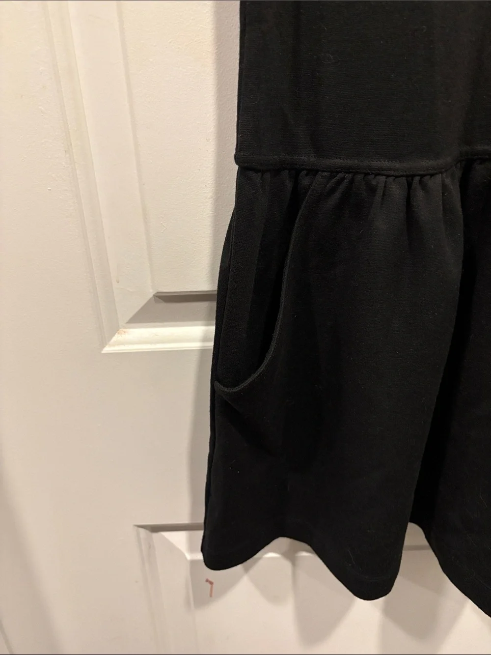 Free People Drop-Waist Mini Dress